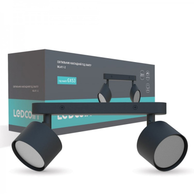 Накладний настінний світильник Ardero ML411-2  GX чорний