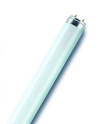 ламп.люмінісцентна. 36w/54 G13  Pila 1,2